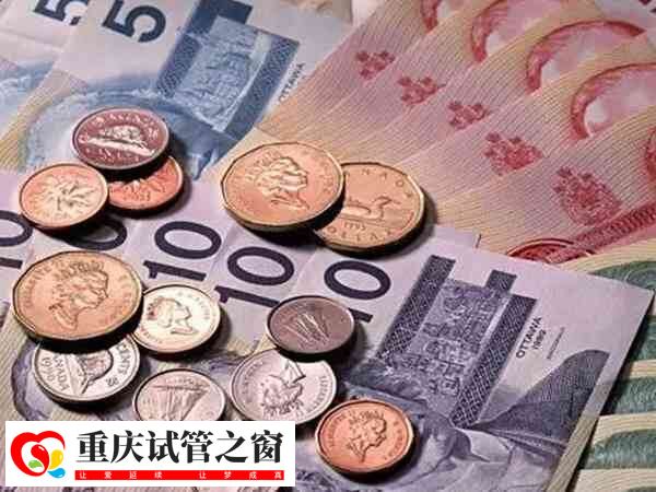 重庆试管婴儿费用包括哪些项目？(图1)